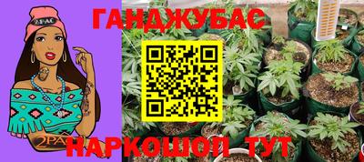 индика Усть-Илимск